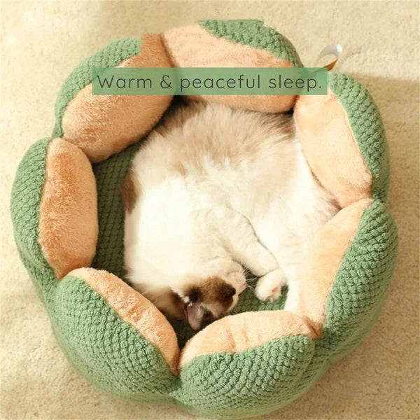 Dailypets Cloud-Soft Cat Bed – Lotus Petal Bolster Nest for Cats and Small Pets