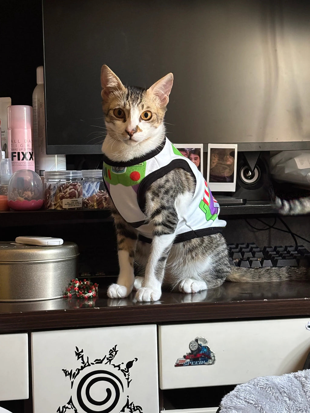Dailypets Toy-Inspired Cat Vest Costume for Indoor Cats with Comfortable Everyday Fit