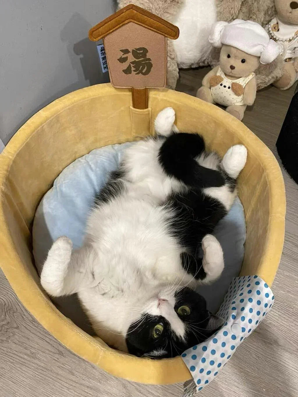 Dailypets Warm Bath Cat Bed – Plush Hot Spring Bolster Bed for Indoor Cats