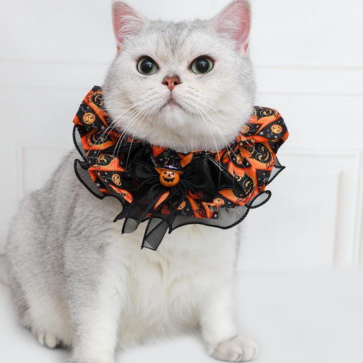 Dailypets Halloween Bat Pet Costume Set with Hat and Pumpkin Bib