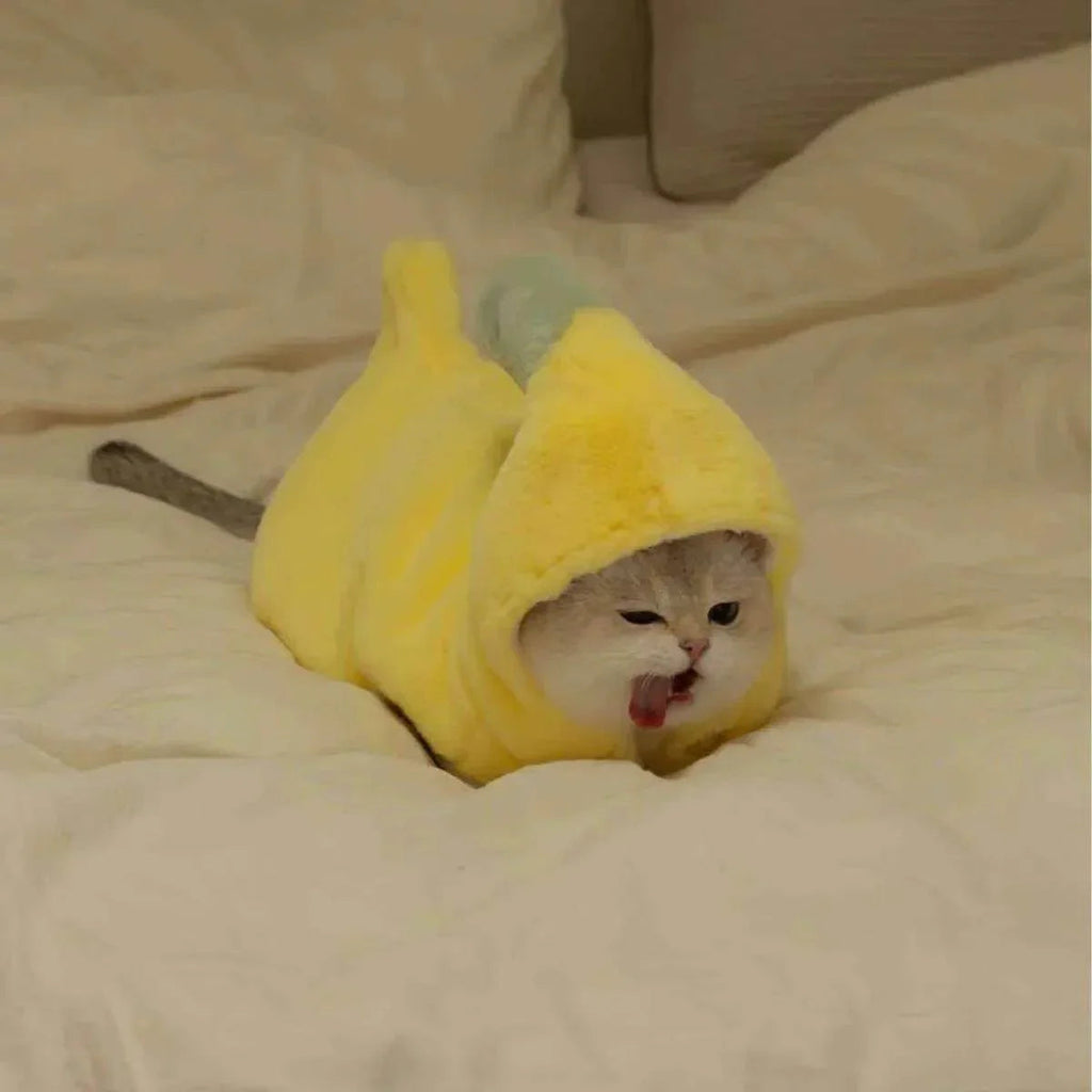 Dailypets Funny Banana Cat Costume with Cozy Plush Fabric for Everyday Dress-Up