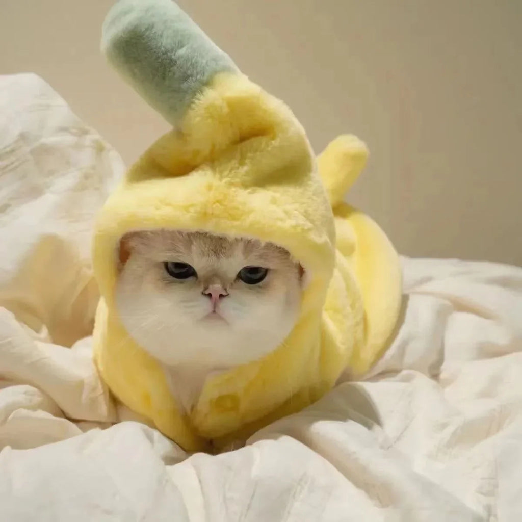 Dailypets Funny Banana Cat Costume with Cozy Plush Fabric for Everyday Dress-Up