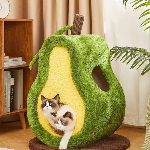 Dailypets Avocado Cat Scratcher Bed with Enclosed Cat Cave and Built-In Scratching Surface