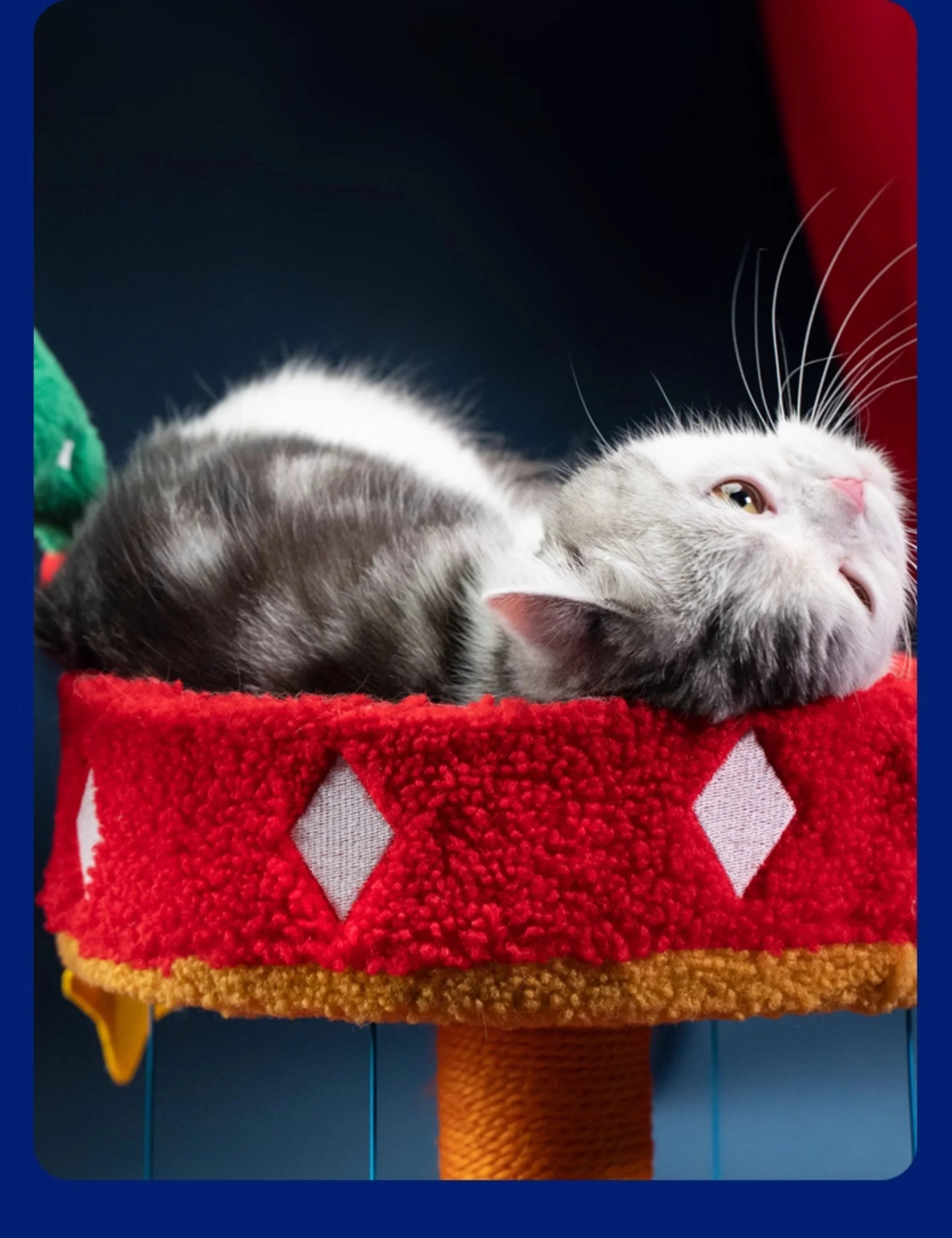 Dailypets Circus Cat Furniture Series – Cat Trees and Cozy Cat Bed Collection