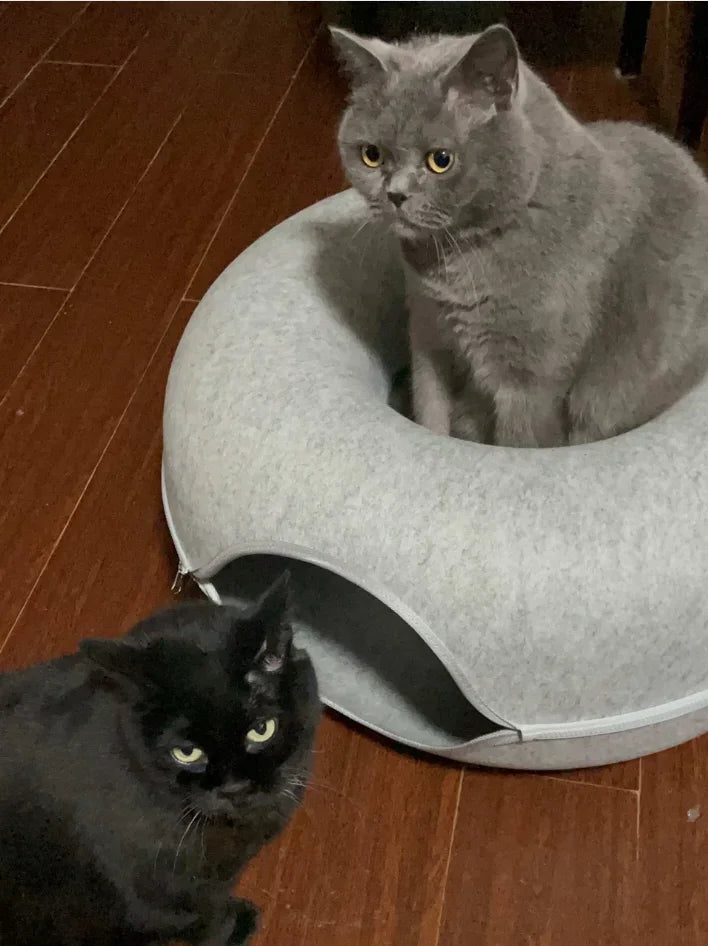 Dailypets Felt Cat Tunnel Bed with Enclosed Double-Layer Hideaway for Play and Rest
