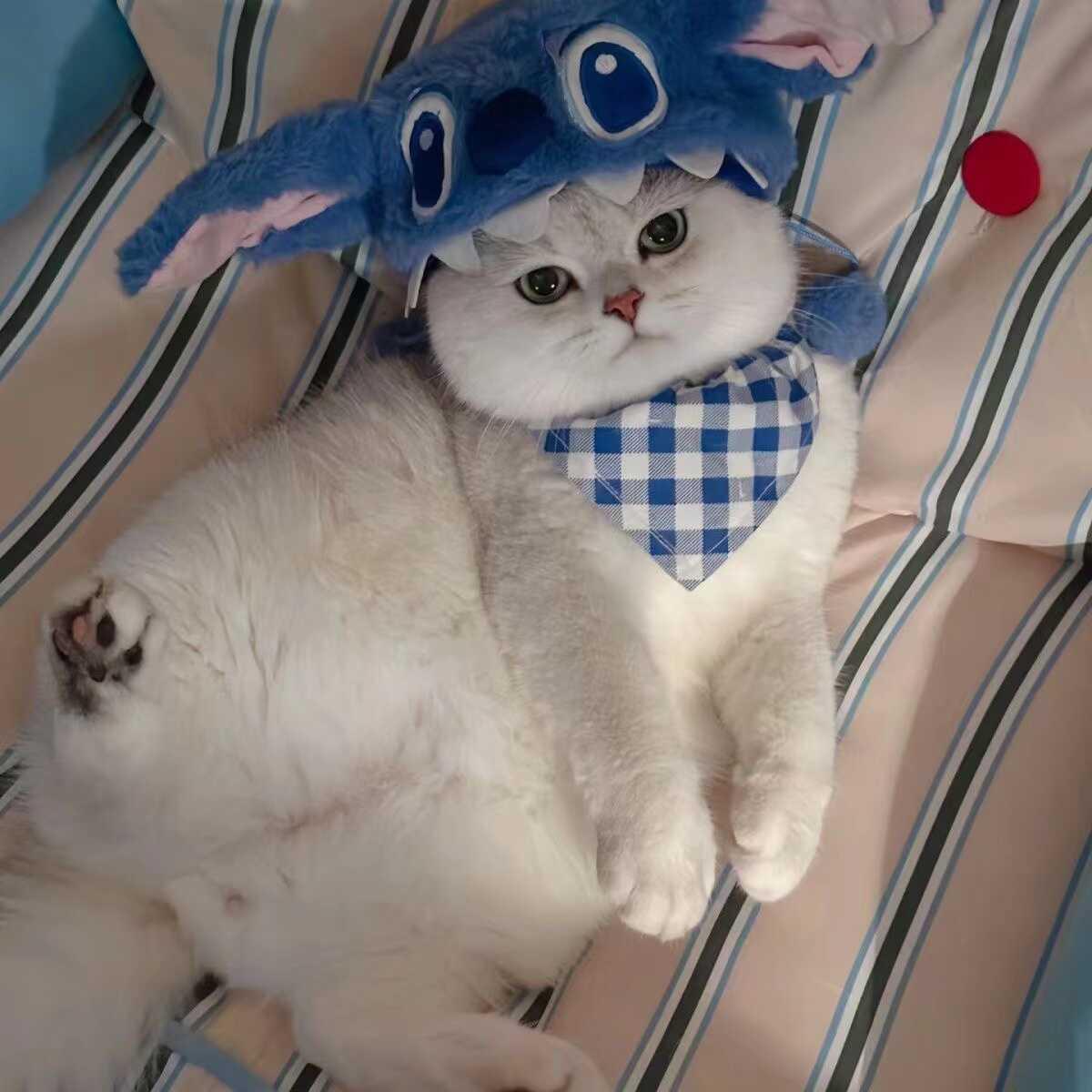 Dailypets Cartoon Character Cat Hat with Matching Bandana for Indoor Cats