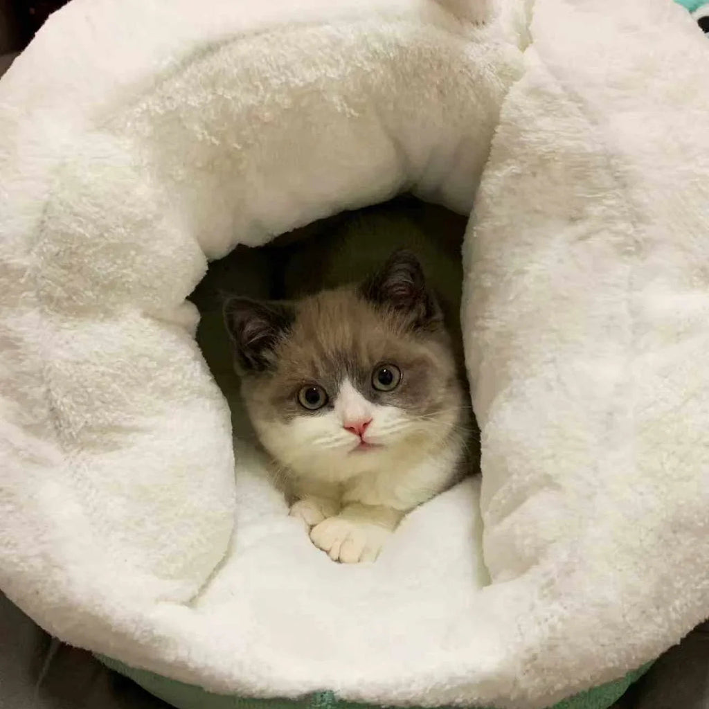 Dailypets Cozy Monster Slipper Cat Bed with Plush Interior and Warm Enclosed Sleeping Space