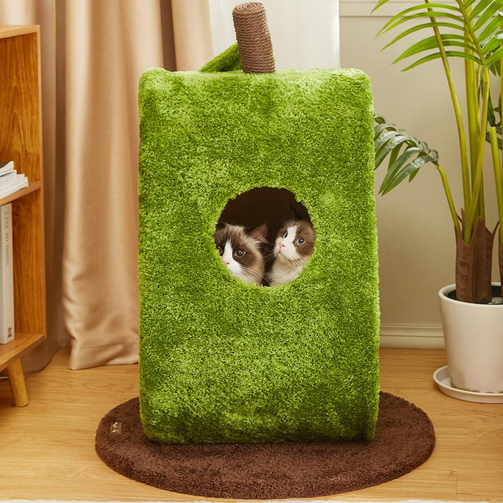 Dailypets Avocado Cat Scratcher Bed with Enclosed Cat Cave and Built-In Scratching Surface