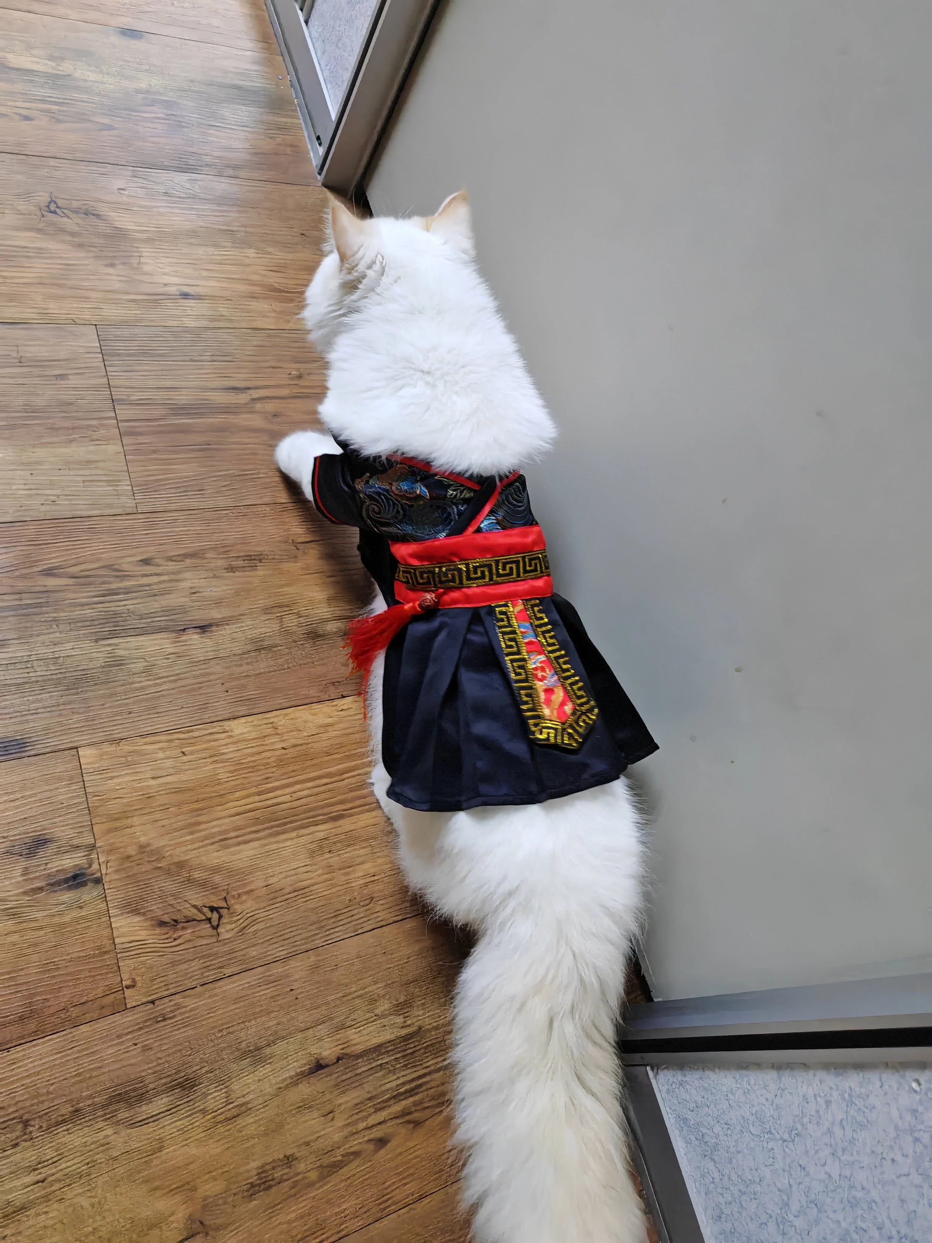 Dailypets Ancient Warrior Cat Costume with Traditional Hanfu-Inspired Design