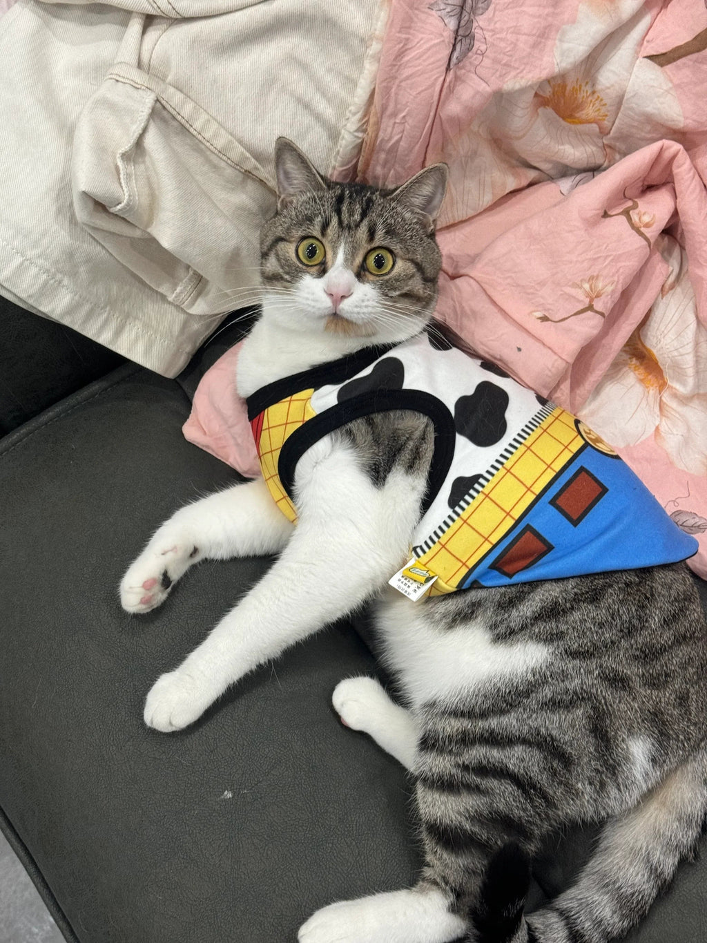 Dailypets Toy-Inspired Cat Vest Costume for Indoor Cats with Comfortable Everyday Fit
