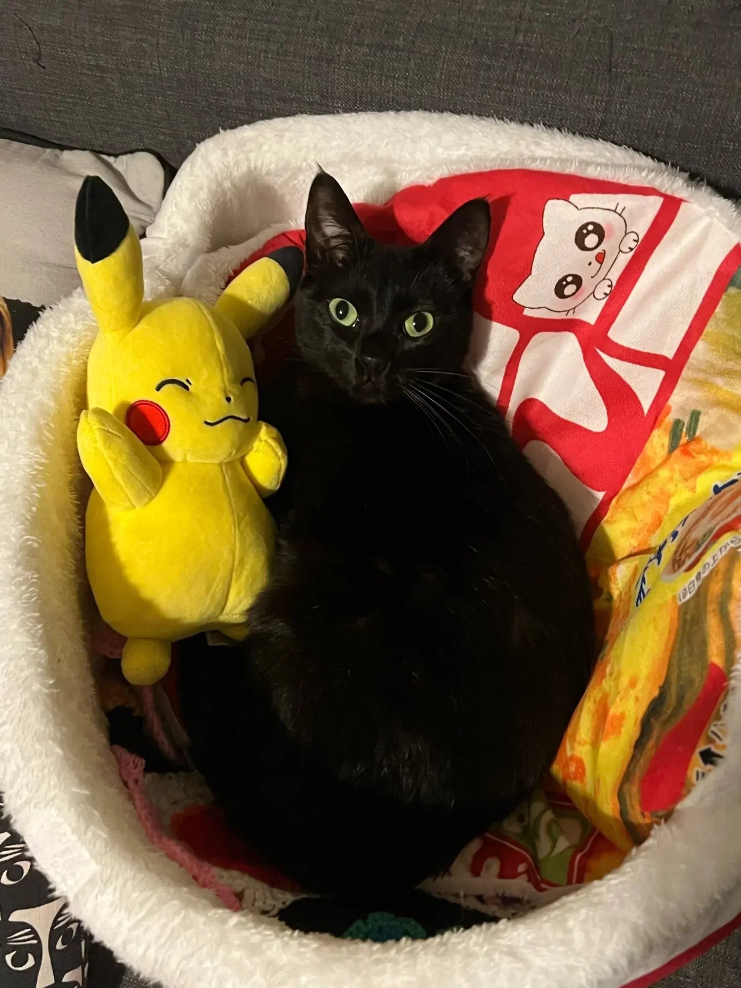 Dailypets Japanese Ramen Bowl Cat Bed – Plush Round Bed for Indoor Cats