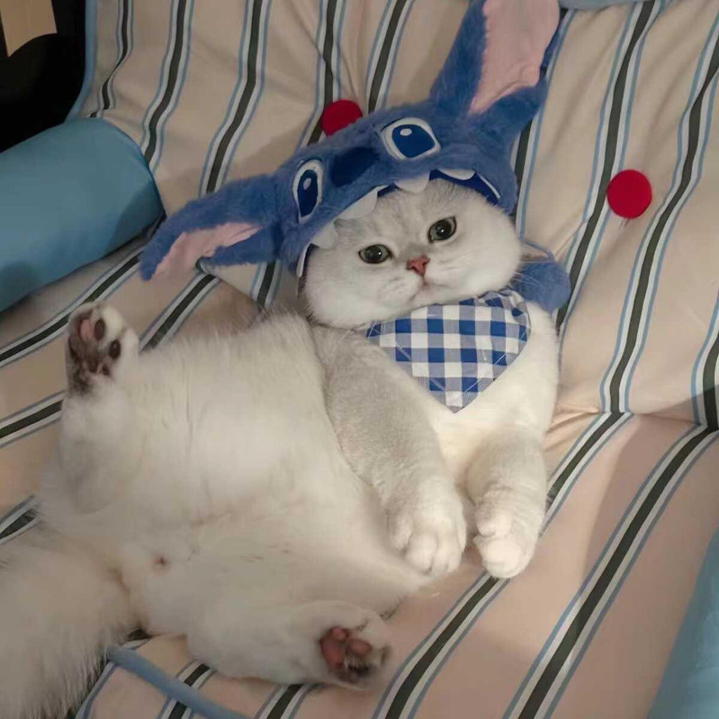 Dailypets Cartoon Character Cat Hat with Matching Bandana for Indoor Cats