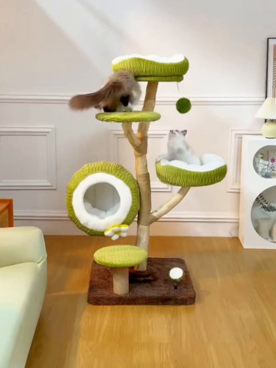 Dailypets Natural Wood Cat Tree with Coconut Cat Bed and Multi-Level Climbing Platforms