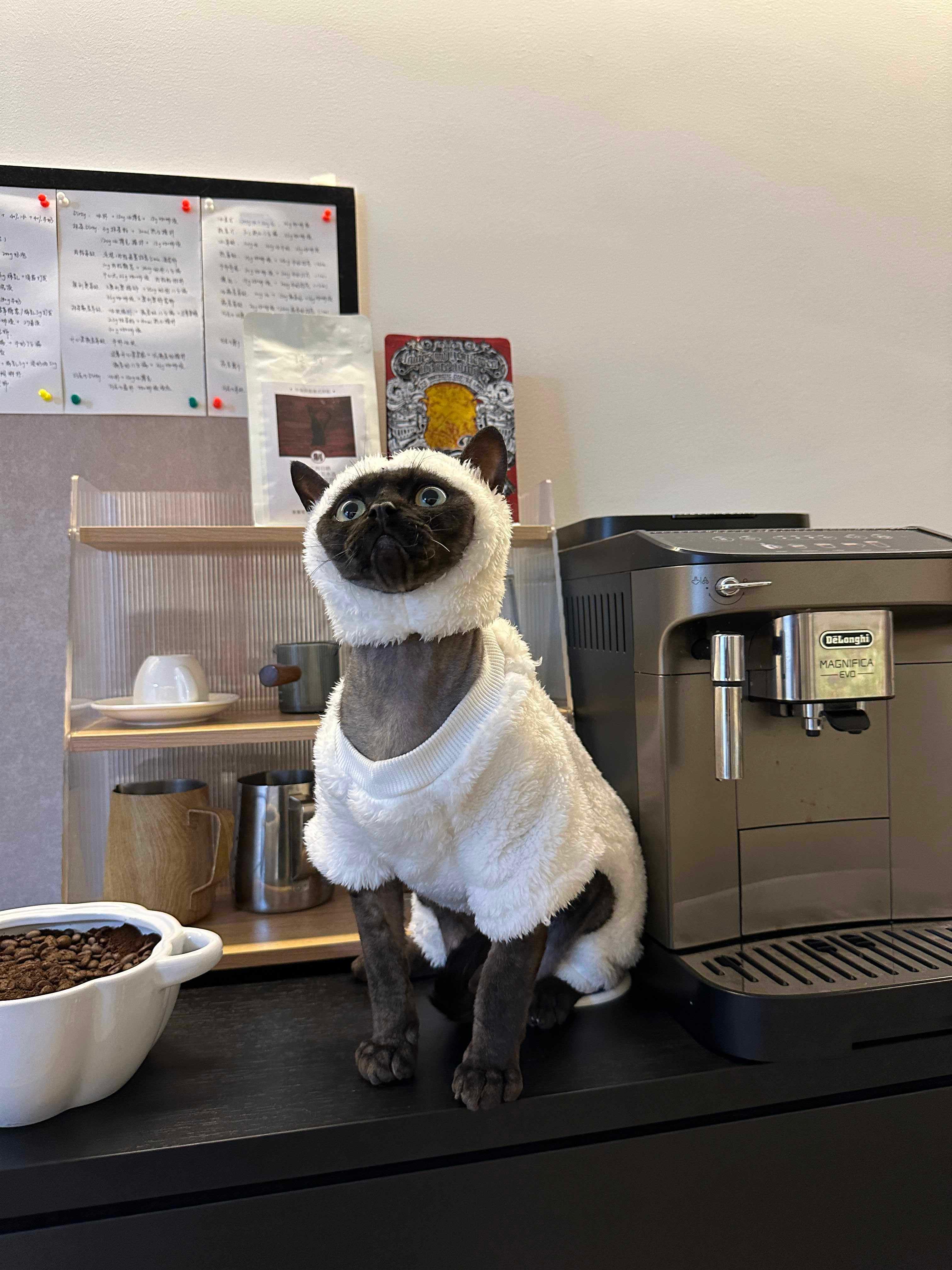 Dailypets Sheep Cat Costume with Soft Fleece and Full-Coverage Design