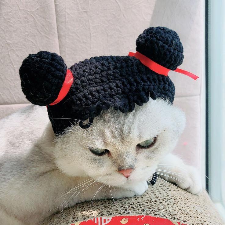 Dailypets Crocheted Bun Cat Hat with Red Ribbon Accents for Photo Sessions