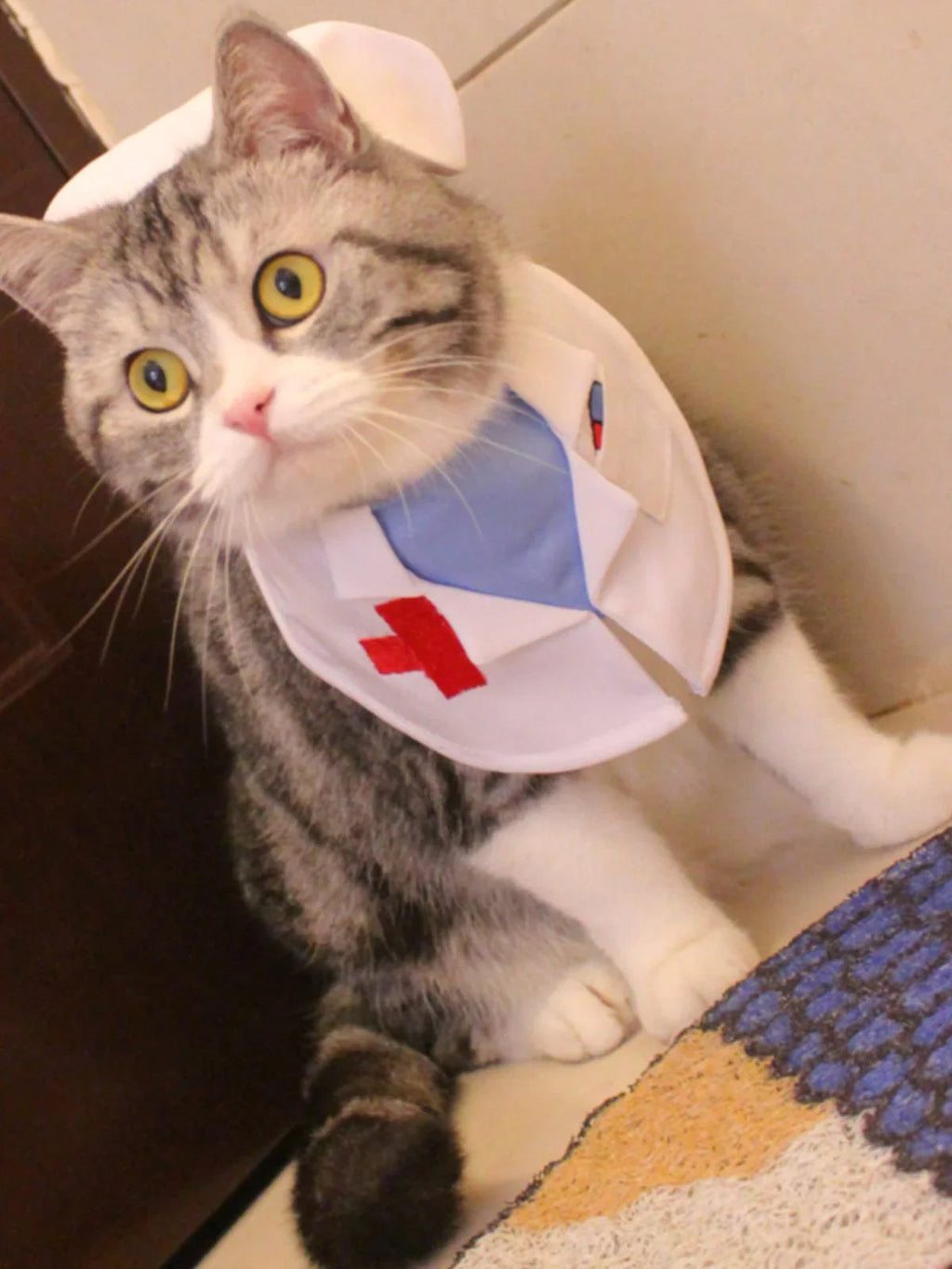 Dailypets Medical-Themed Cat Costume Set for Parties and Special Occasions