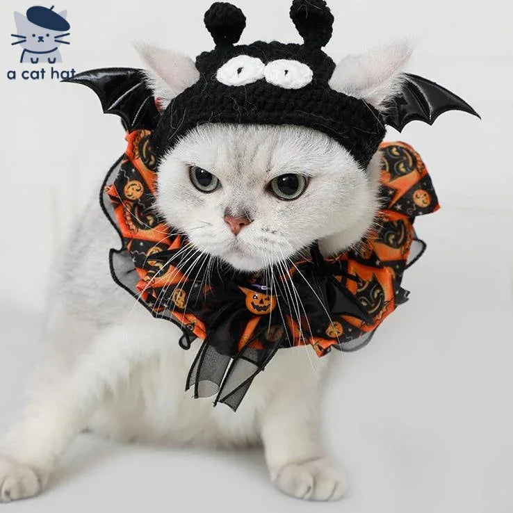Dailypets Halloween Bat Pet Costume Set with Hat and Pumpkin Bib