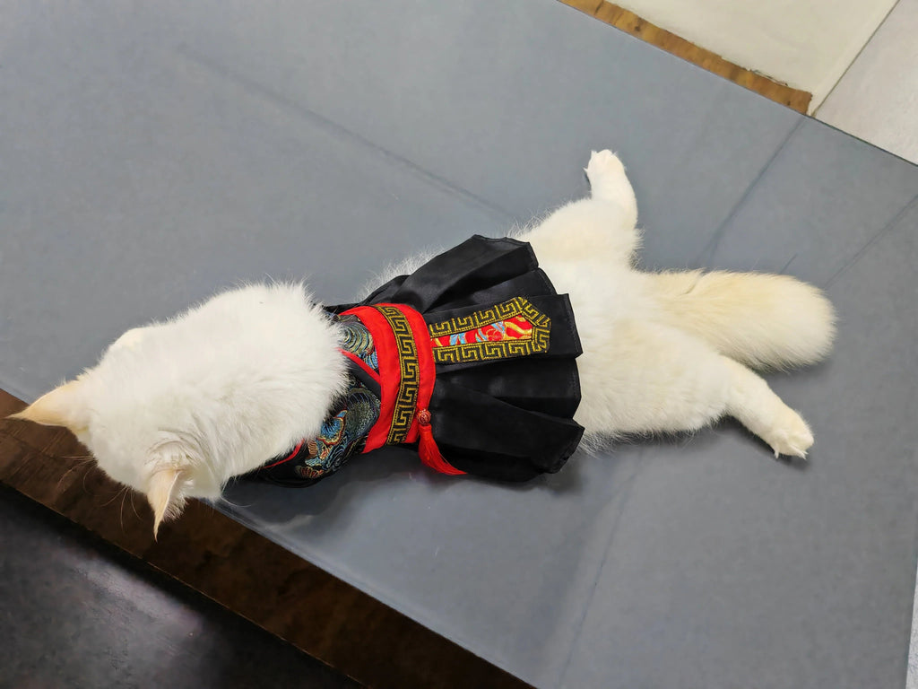 Dailypets Ancient Warrior Cat Costume with Traditional Hanfu-Inspired Design