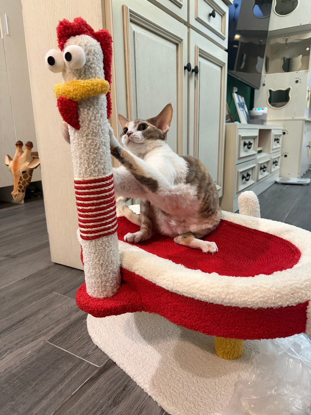 Dailypets Chicken Cat Scratching Post with Cozy Cat Bed and Sisal Scratching Pole