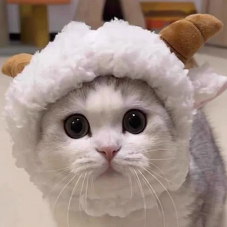 Dailypets Plush Animal Cat Hat for Parties and Memorable Photos