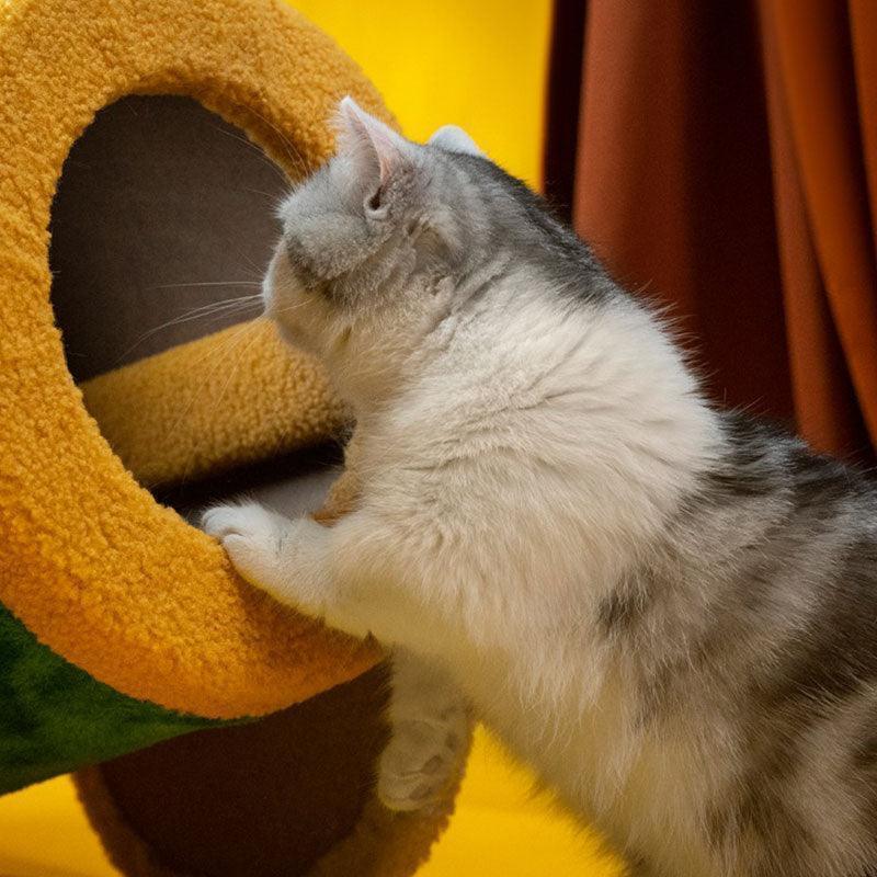 Dailypets Circus Cat Furniture Series – Cat Trees and Cozy Cat Bed Collection