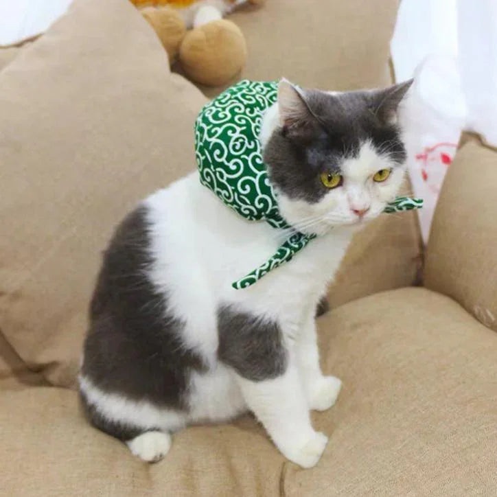 Dailypets Soft Chiffon Cat Scarf with Playful Backpack Detail