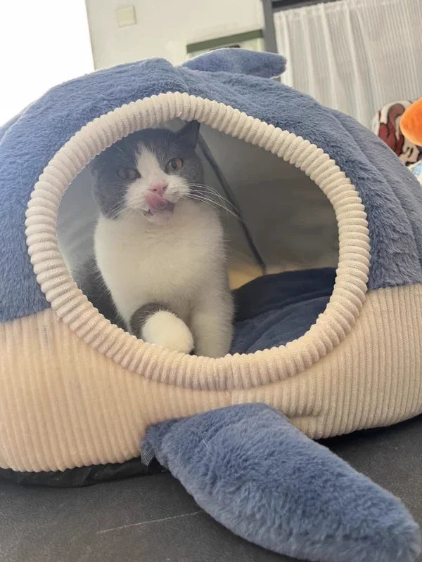 Dailypets Cute Shark Cat House – Warm Enclosed Bed for Cats and Small Pets