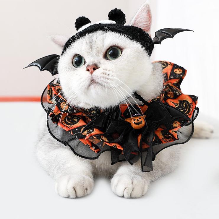 Dailypets Halloween Bat Pet Costume Set with Hat and Pumpkin Bib