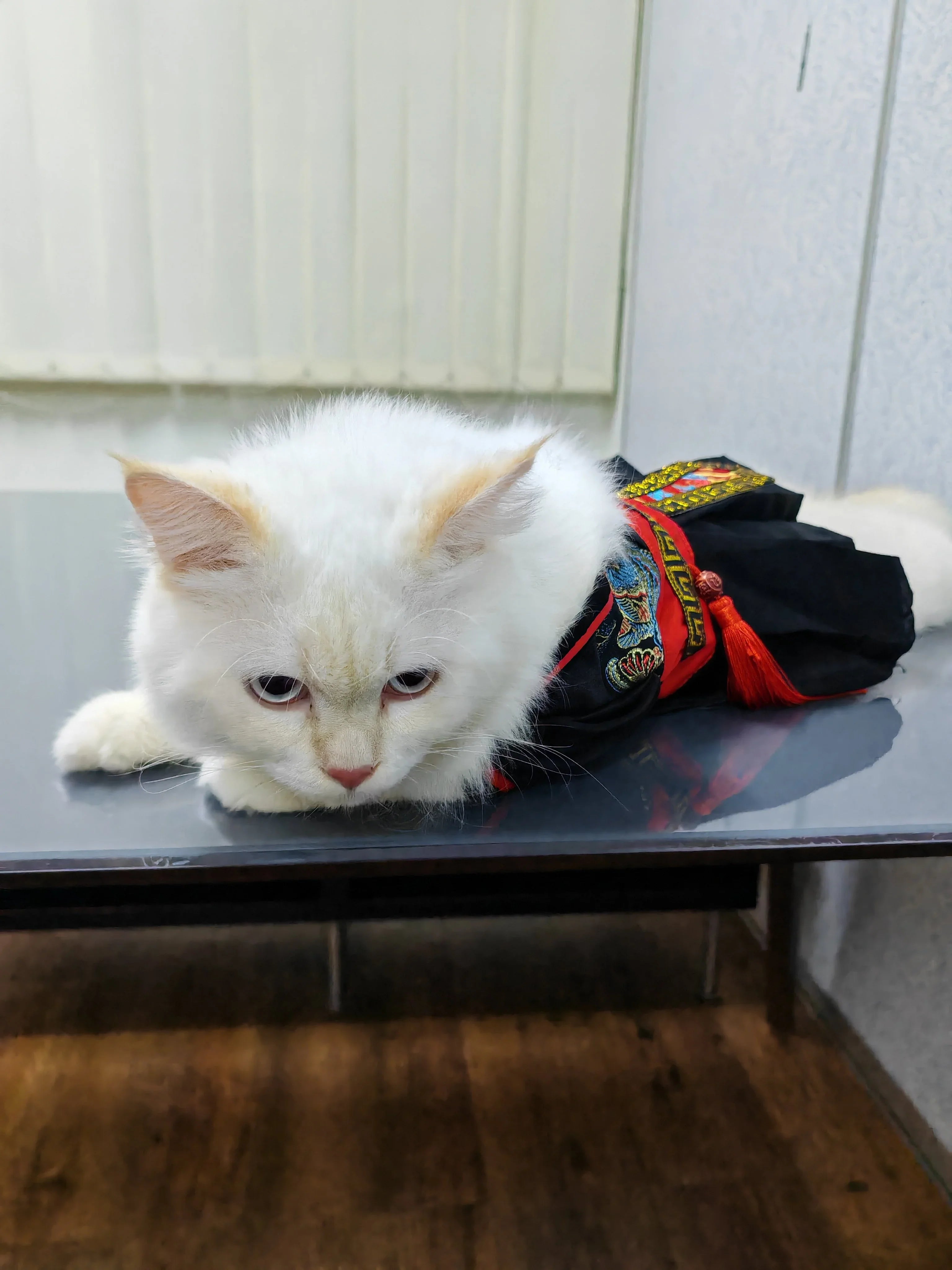 Dailypets Ancient Warrior Cat Costume with Traditional Hanfu-Inspired Design