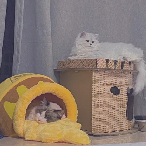Dailypets Velvet Cat Cave Bed – Honey Pot Design with Removable Inner Cushion