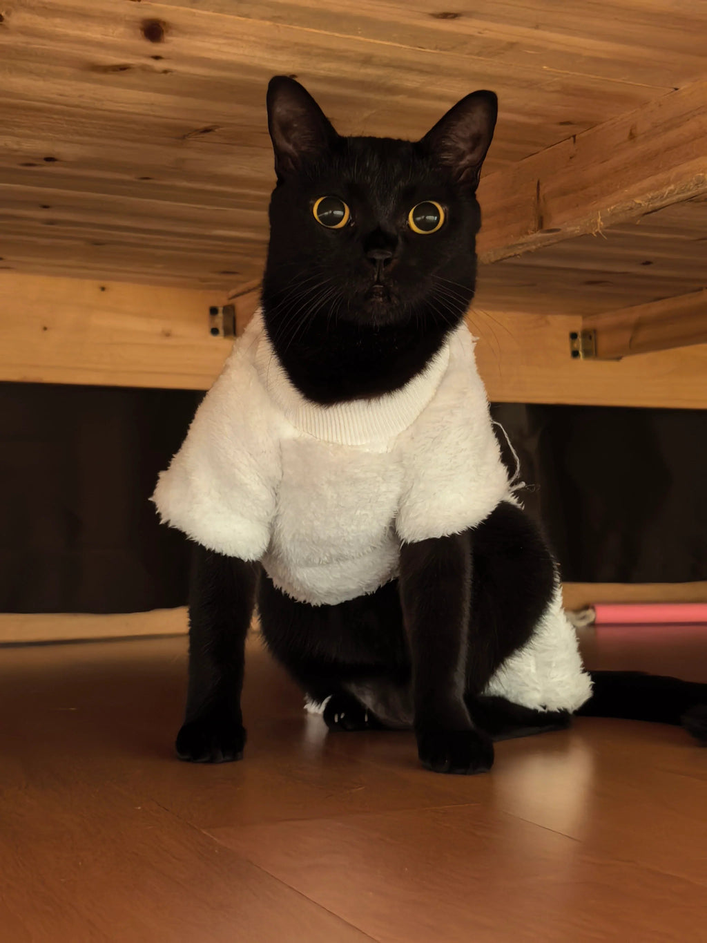 Dailypets Sheep Cat Costume with Soft Fleece and Full-Coverage Design