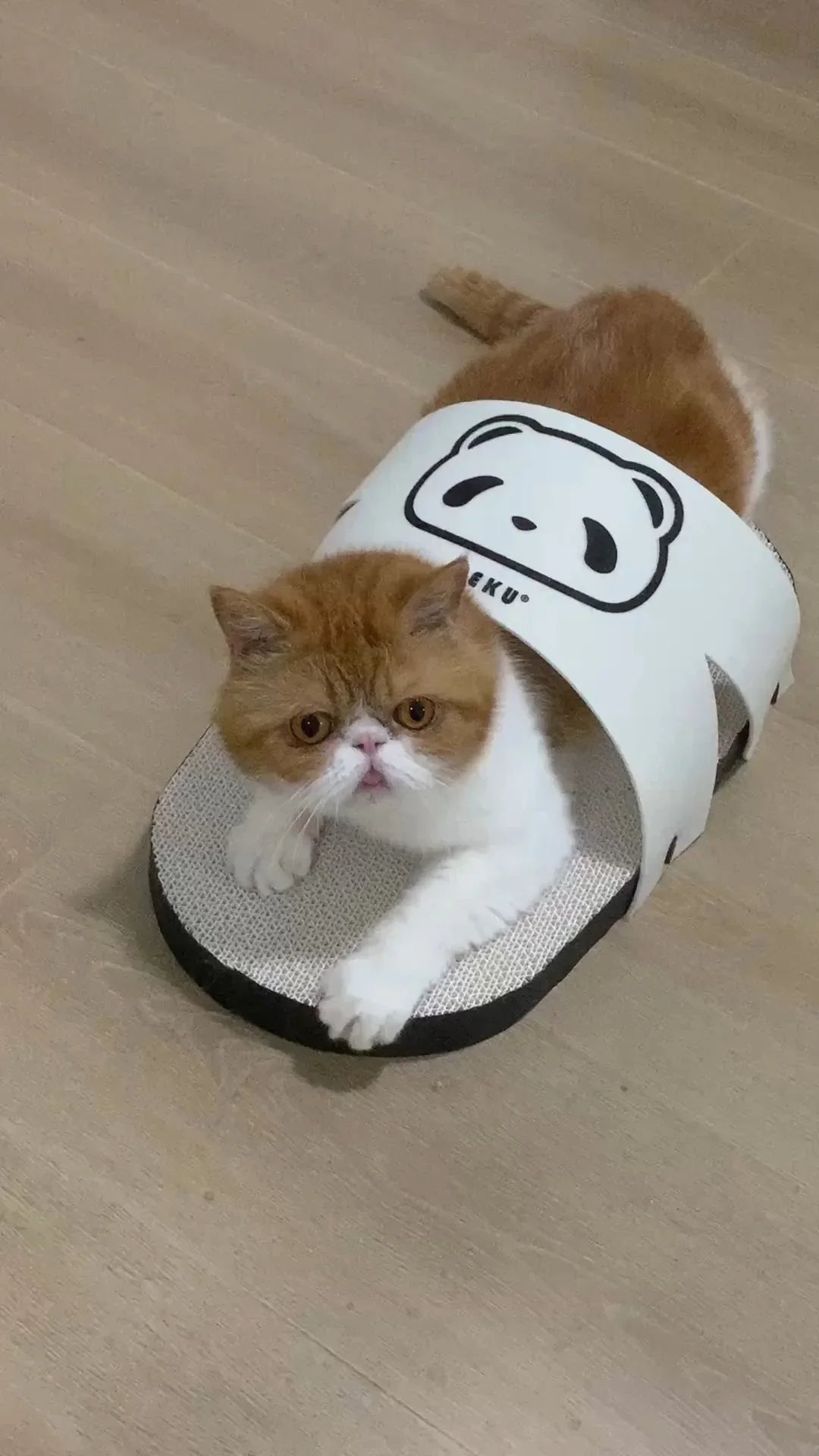 Dailypets Giant Slipper-Shaped Cat Scratcher with Corrugated Cardboard Lounge Bed