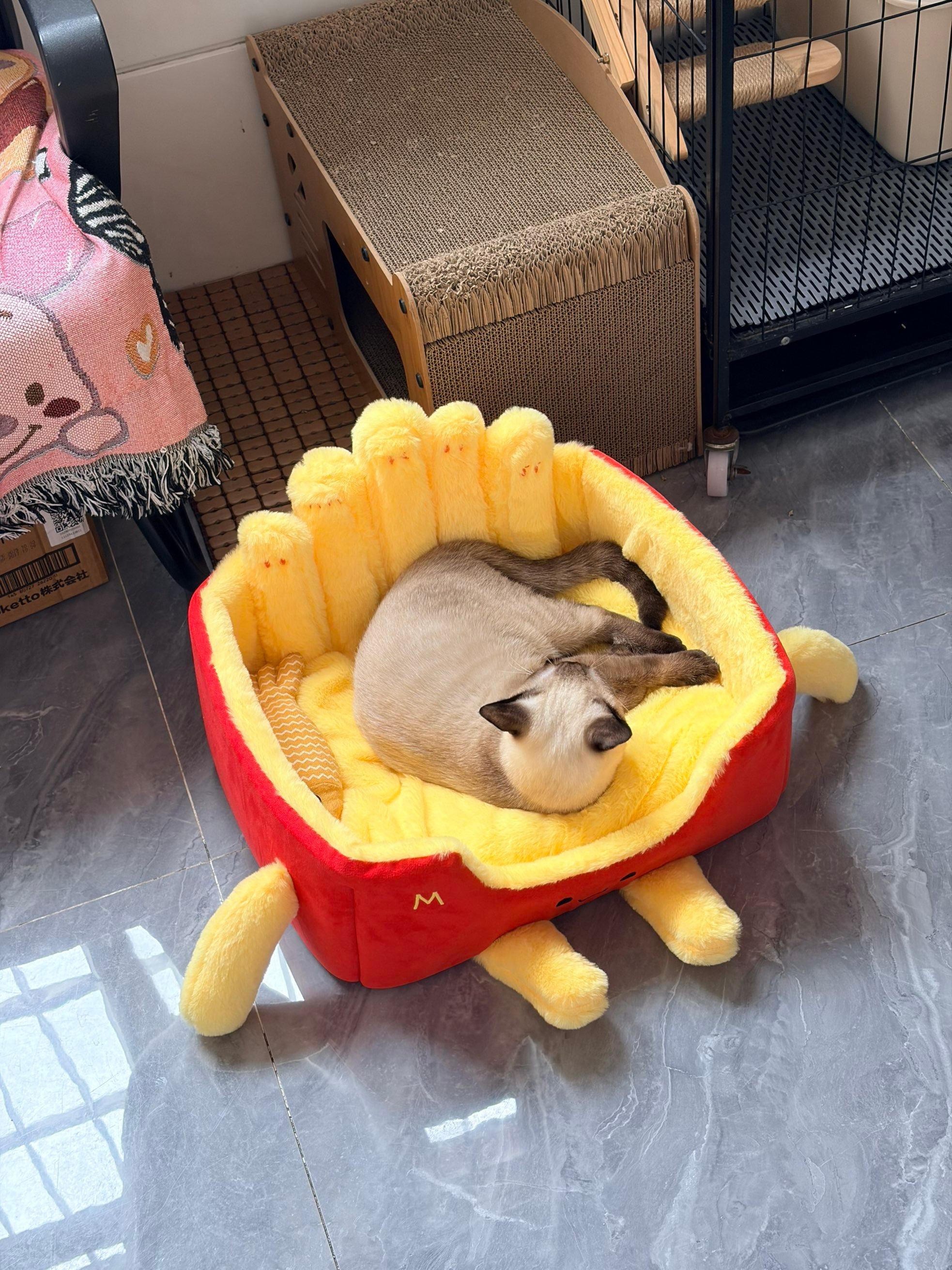 Dailypets Designer Cat Bed – French Fry Box Plush Lounge for Cats