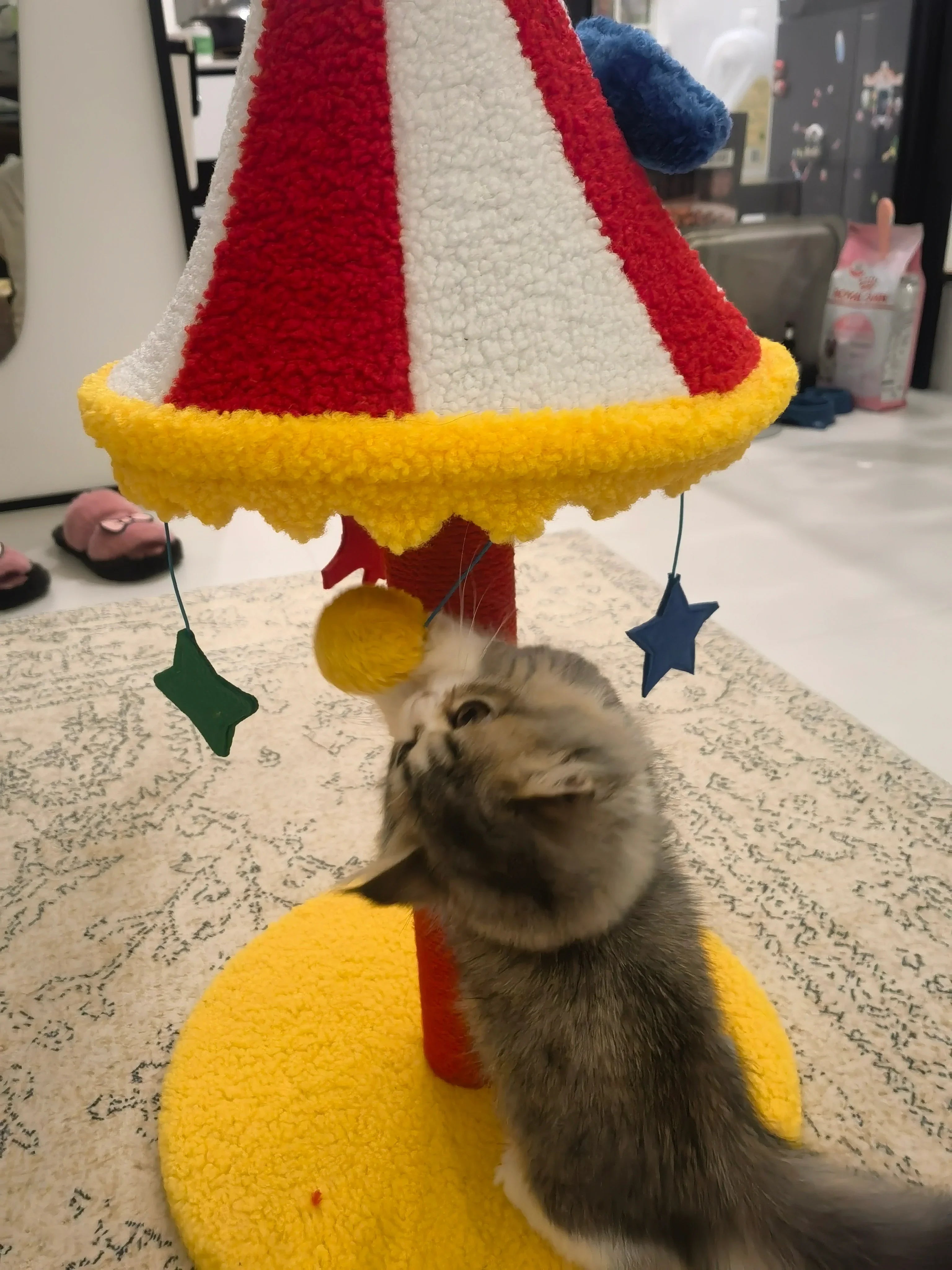Dailypets Circus Cat Furniture Series – Cat Trees and Cozy Cat Bed Collection
