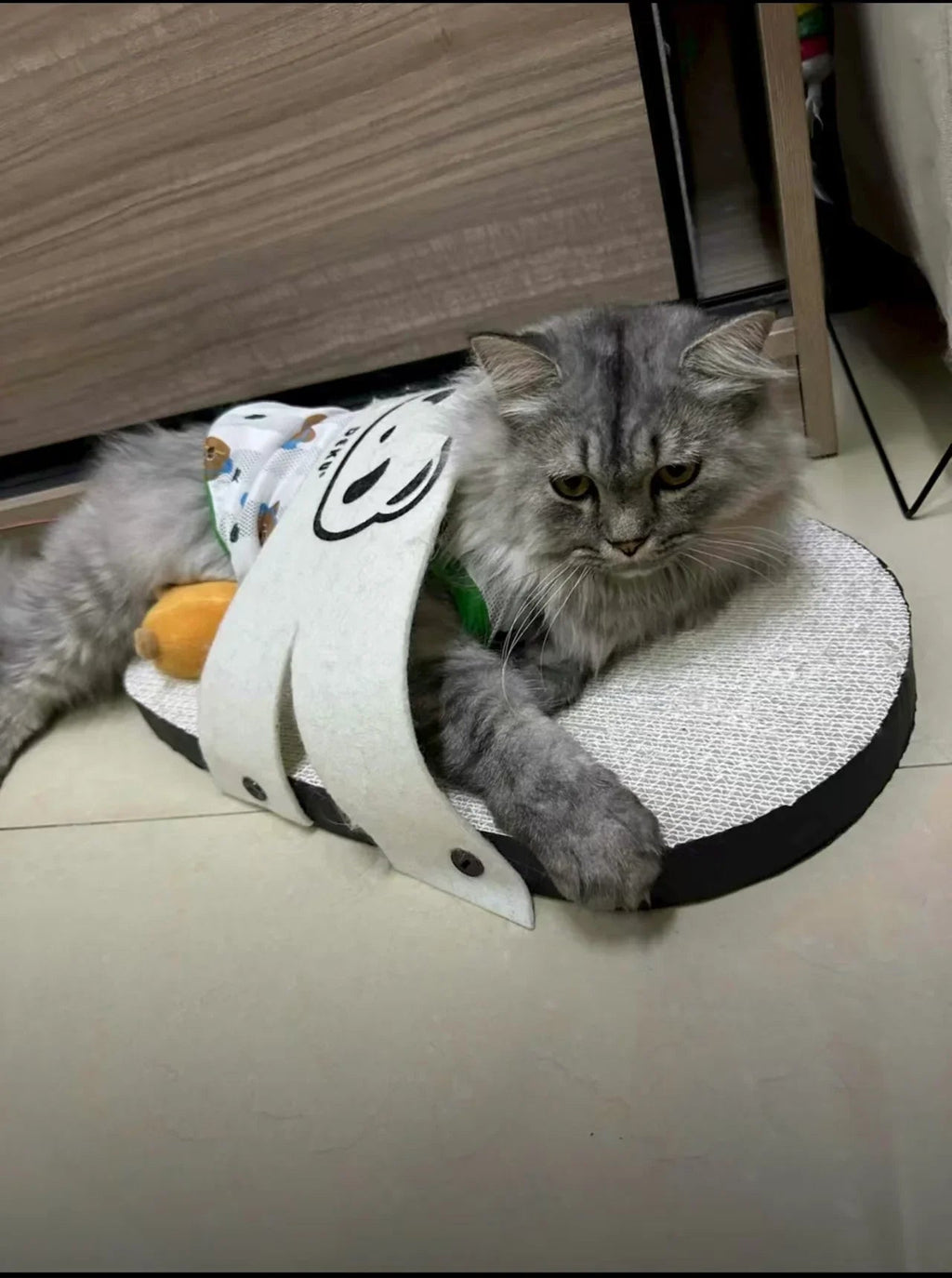 Dailypets Giant Slipper-Shaped Cat Scratcher with Corrugated Cardboard Lounge Bed