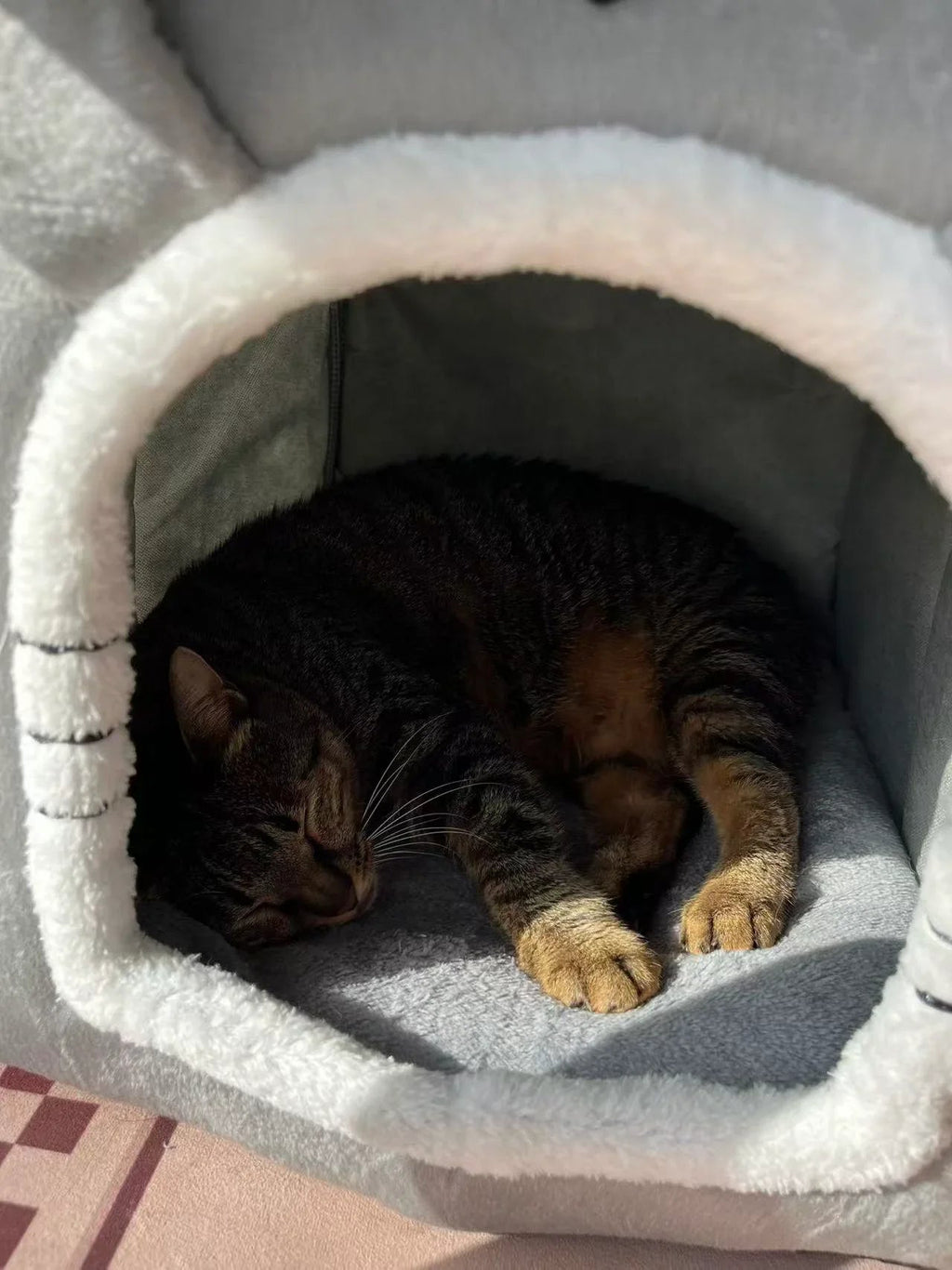 Dailypets Plush Rabbit Cat Cave Bed with Cozy Enclosed Design for Warm Indoor Comfort