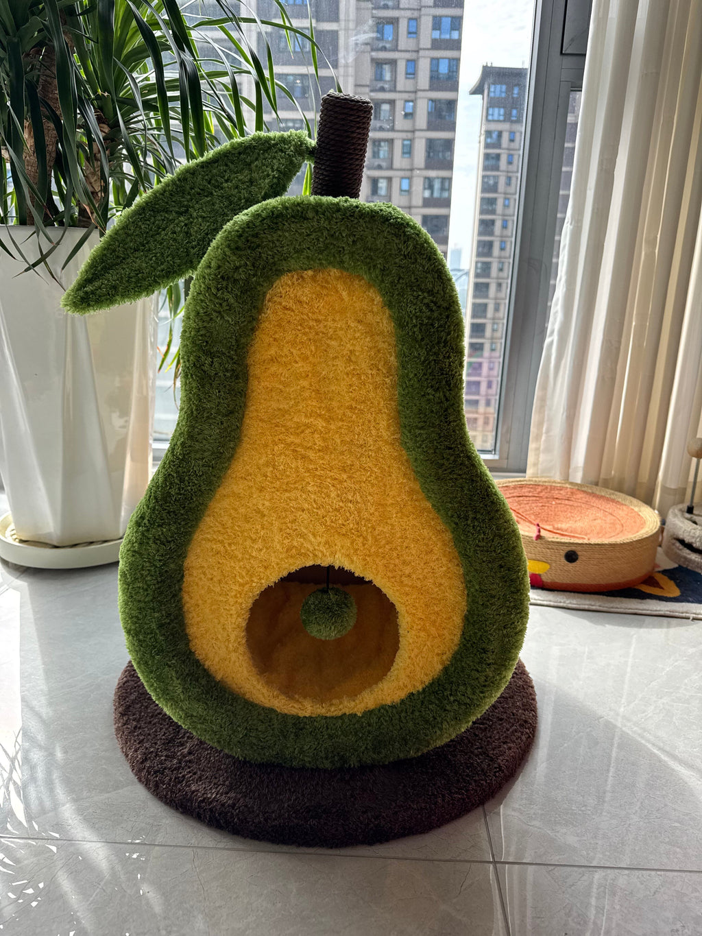 Dailypets Avocado Cat Scratcher Bed with Enclosed Cat Cave and Built-In Scratching Surface