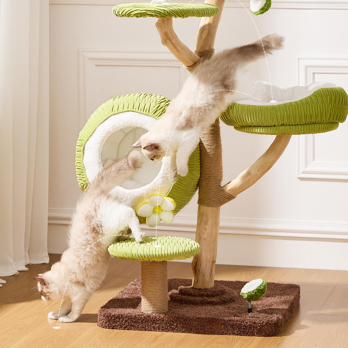 Dailypets Natural Wood Cat Tree with Coconut Cat Bed and Multi-Level Climbing Platforms