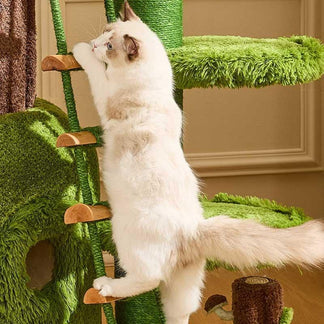 Dailypets Jungle Cat Tree – Tall 205cm Cat Castle for Large and Multi-Cat Homes