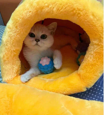 Dailypets Velvet Cat Cave Bed – Honey Pot Design with Removable Inner Cushion