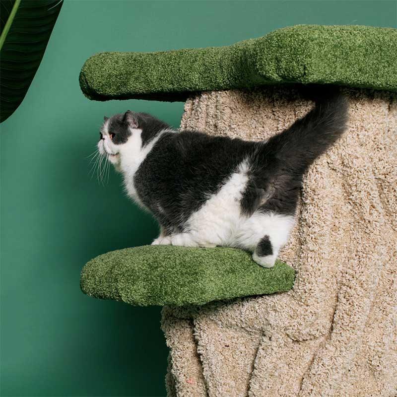 Dailypets Heavy Duty Cat Tree with Solid Wood Core and Spacious Cat Condo for Indoor Cats