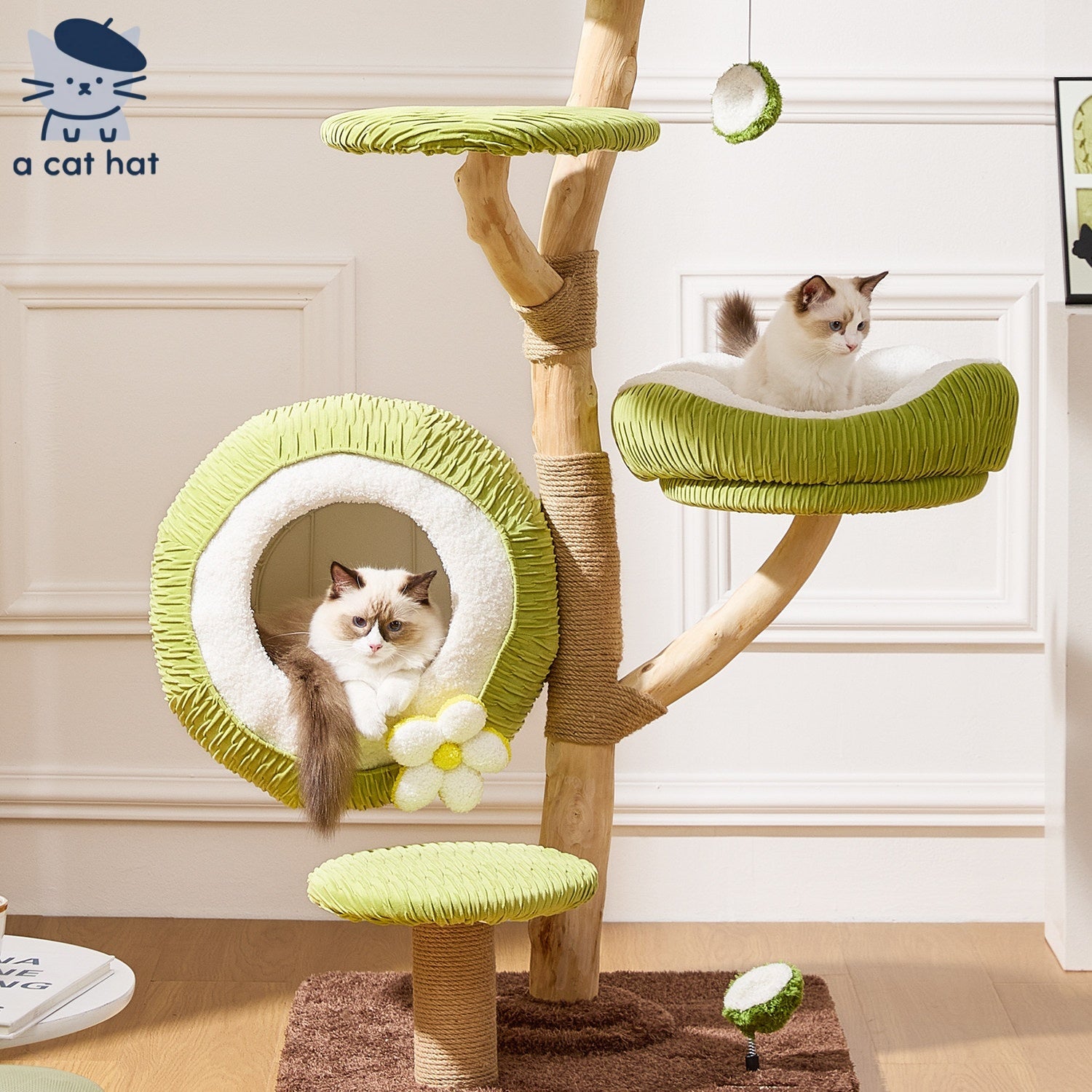 Dailypets Natural Wood Cat Tree with Coconut Cat Bed and Multi-Level Climbing Platforms