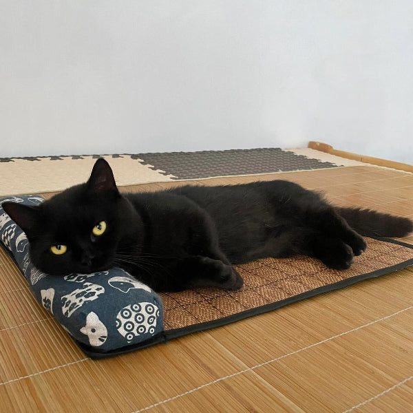 Dailypets Summer Cooling Rattan Pet Mat with Bolster Pillow for Cats