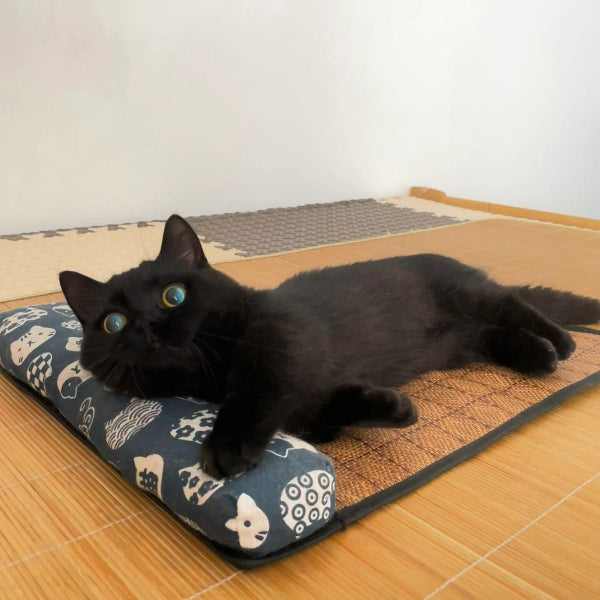 Dailypets Summer Cooling Rattan Pet Mat with Bolster Pillow for Cats