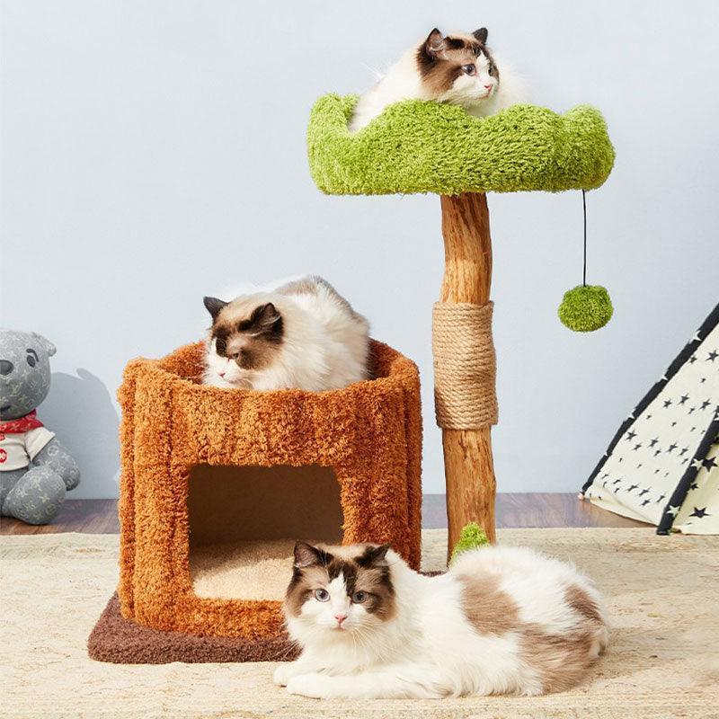 Dailypets Multi-Level Cat Tree with Enclosed Tree Houses for Large and Multiple Cats