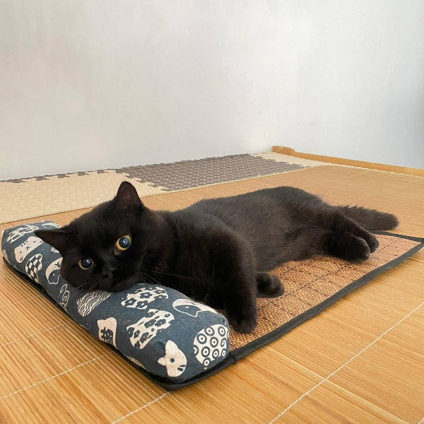 Dailypets Summer Cooling Rattan Pet Mat with Bolster Pillow for Cats