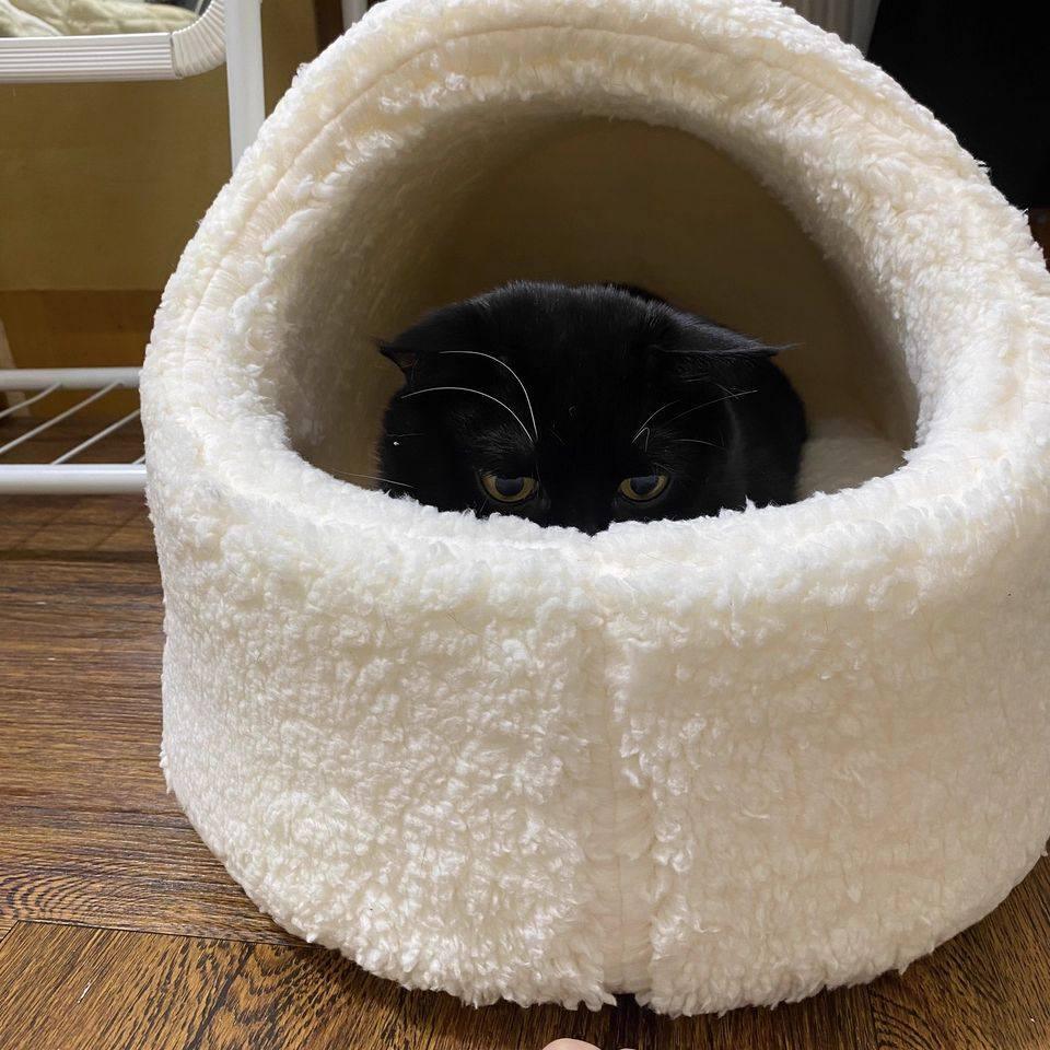Dailypets Cloud Fleece Cat Bed with Cozy Slipper-Inspired Design for Warm Indoor Comfort