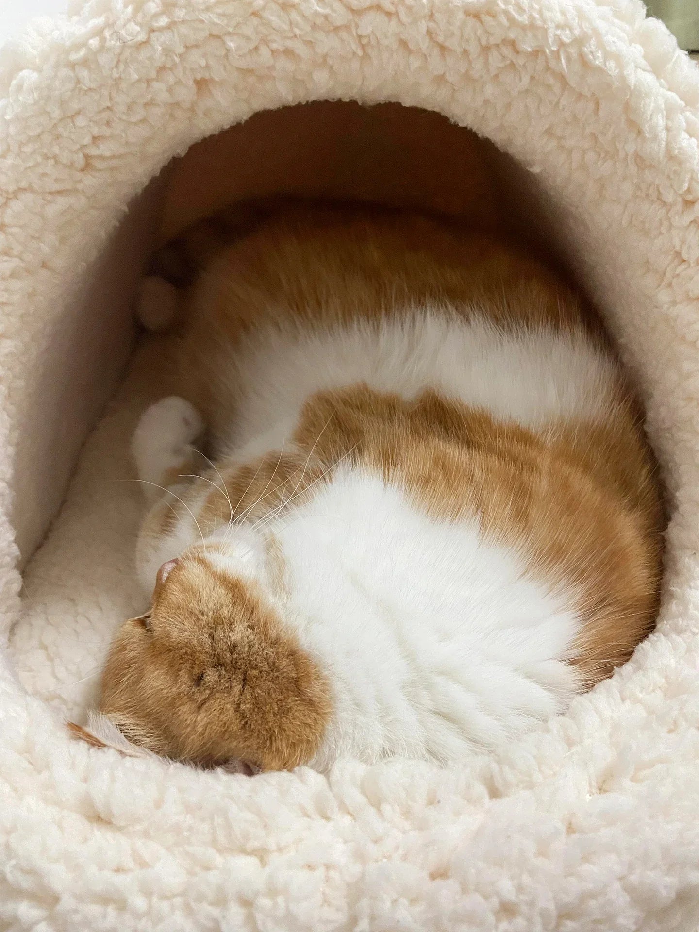 Dailypets Cloud Fleece Cat Bed with Cozy Slipper-Inspired Design for Warm Indoor Comfort