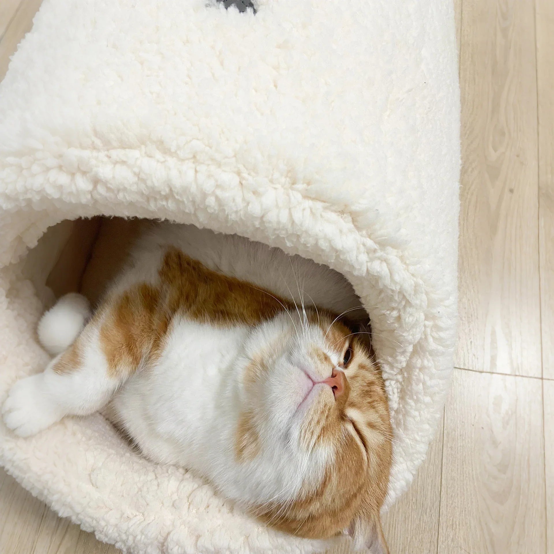 Dailypets Cloud Fleece Cat Bed with Cozy Slipper-Inspired Design for Warm Indoor Comfort