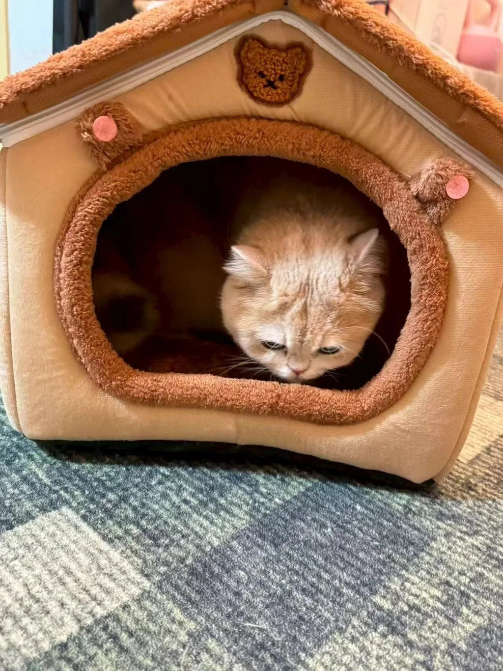 Dailypets Plush Rabbit Cat Cave Bed with Cozy Enclosed Design for Warm Indoor Comfort